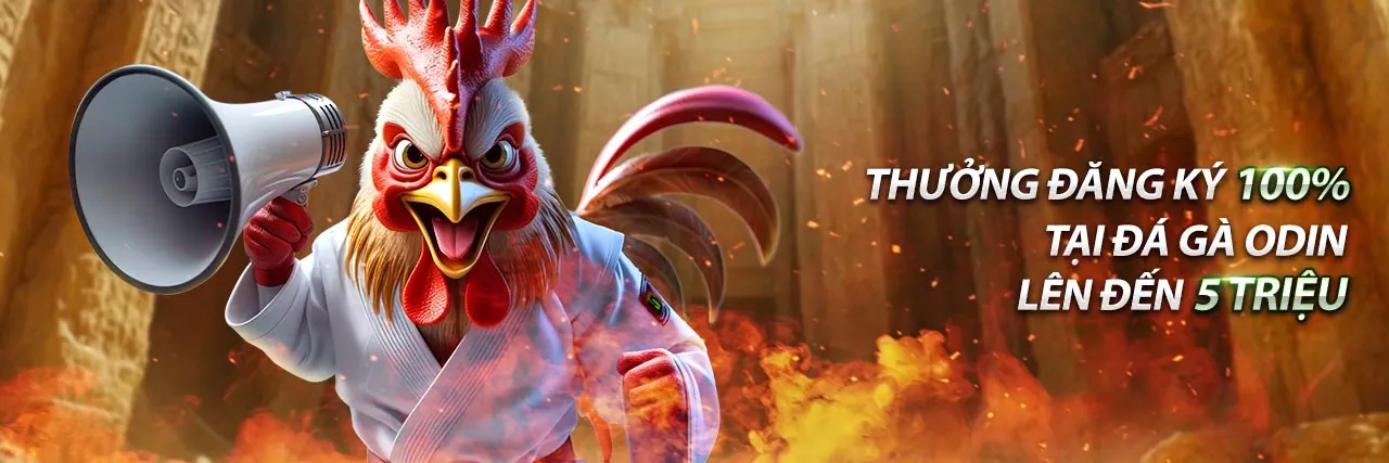 Tổng quan các ưu đãi mới nhất 98win 2026